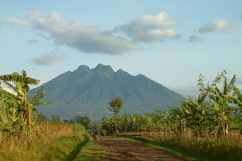 جبال فيرونغا، براكين فيرونغا Virunga Mountains, Virunga Volcanoes
