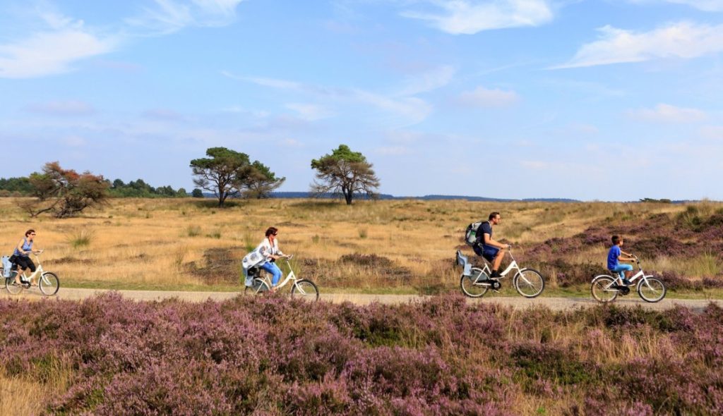 حديقة هوجي فيلوي الوطنية Hoge Veluwe National Park