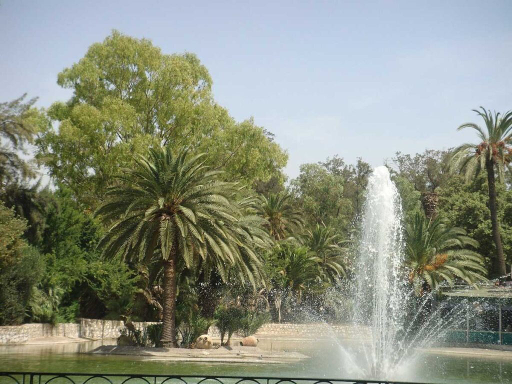 منتزه البلفيدير Belvedere Park، تونس