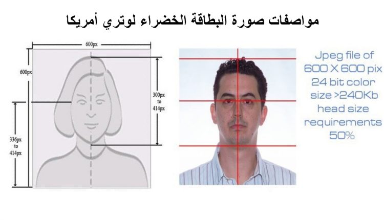 مواصفات الصورة المطلوبة للتقديم على البطاقة الخضراء الأمريكية